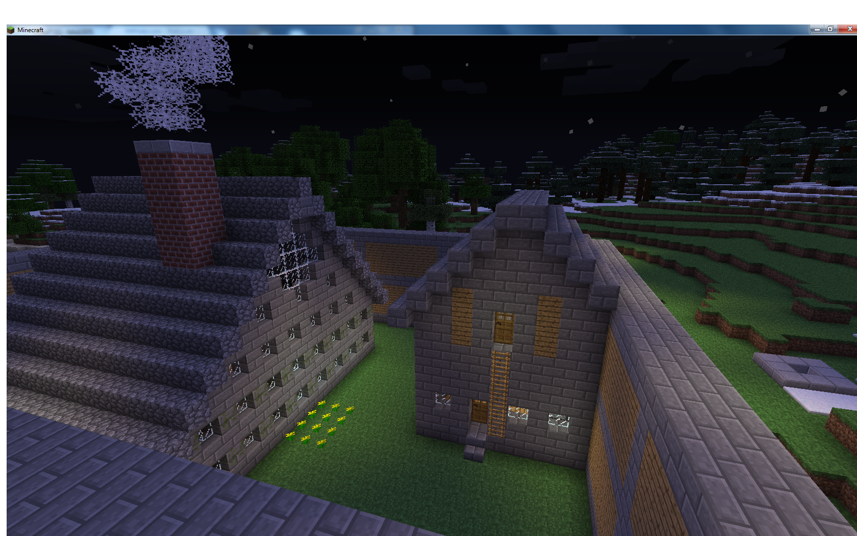 MINECRAFT 4.png