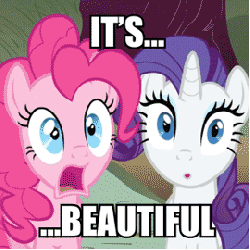 18960__safe_pinkie-pie_rarity_animated_reaction-image_putting-your-hoof-down_jaw-drop_it-quo-s-beautiful_.gif