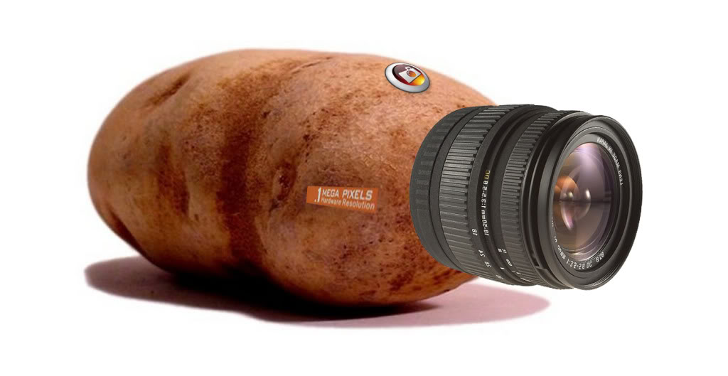 potato.jpg